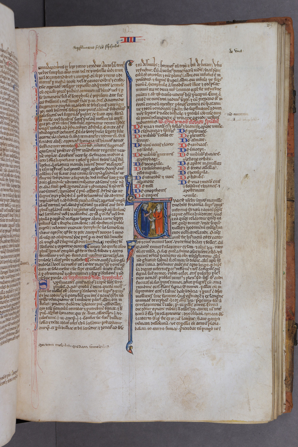 Folio 82 recto